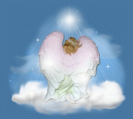 http://images.obesityhelp.com/morbidobesity/mempix/gill_amy/bowdowntop2.jpg - 80500 Bytes