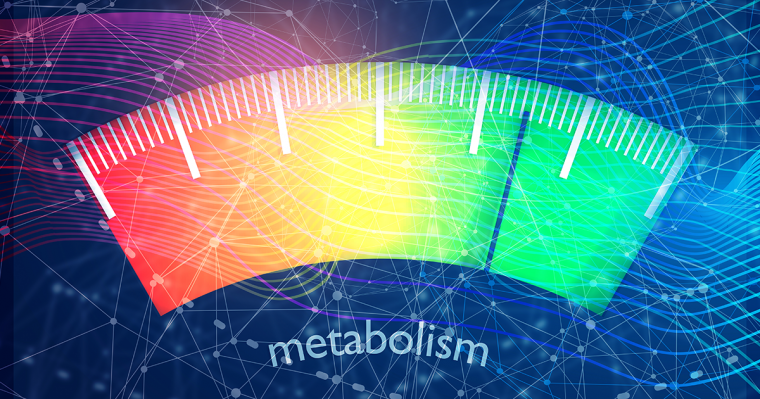 increase metabolism